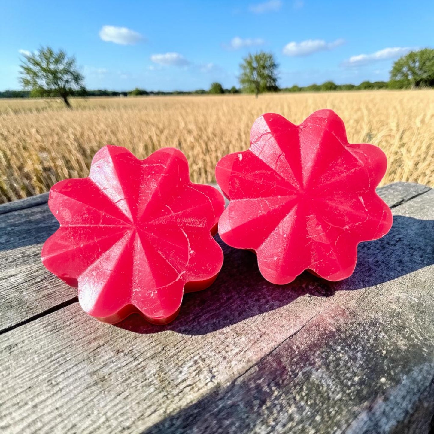 Fondant de cire parfumé Lait de riz cerisier 🌸