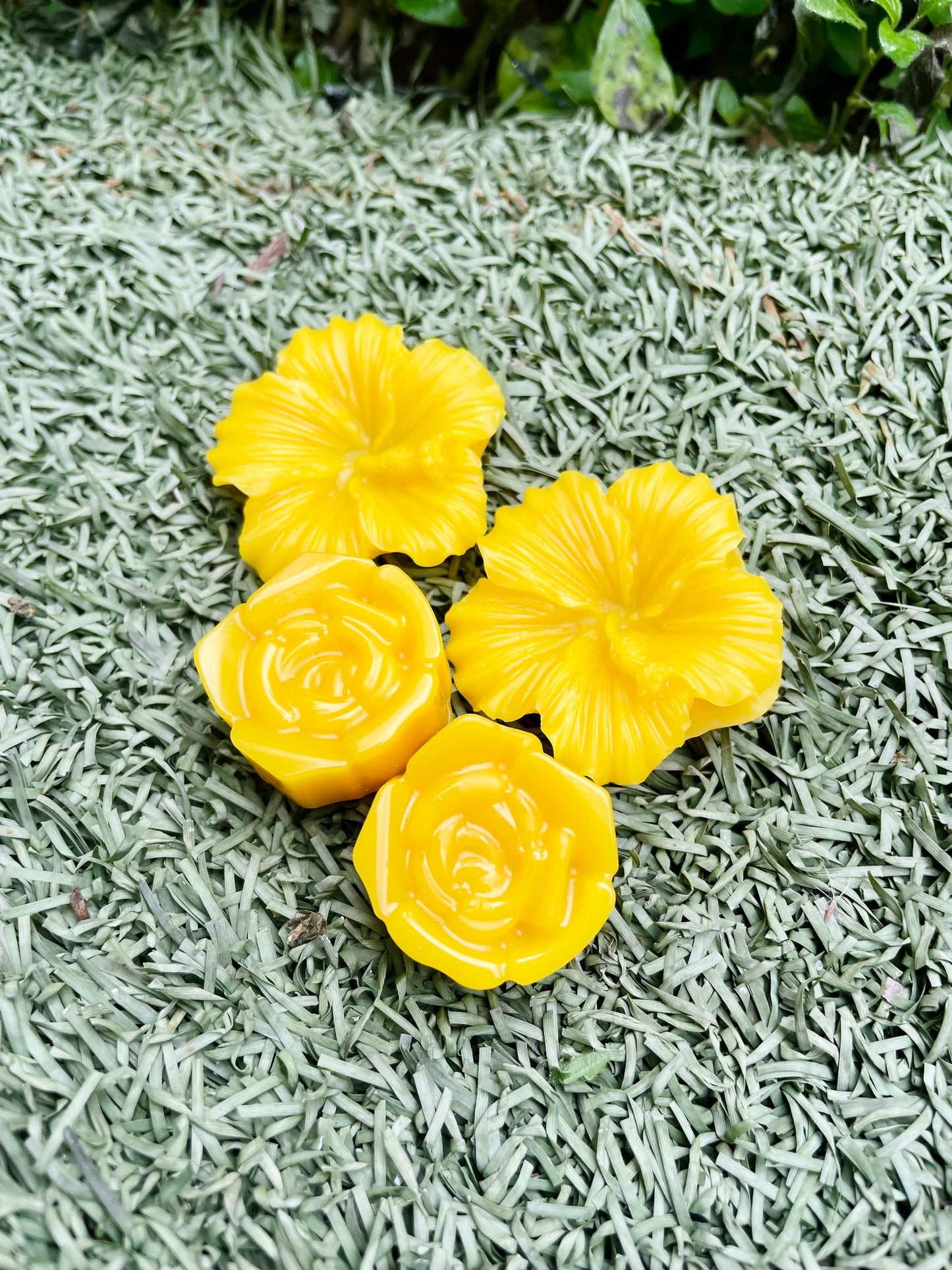 Fondant parfumé Vanille Gourmande