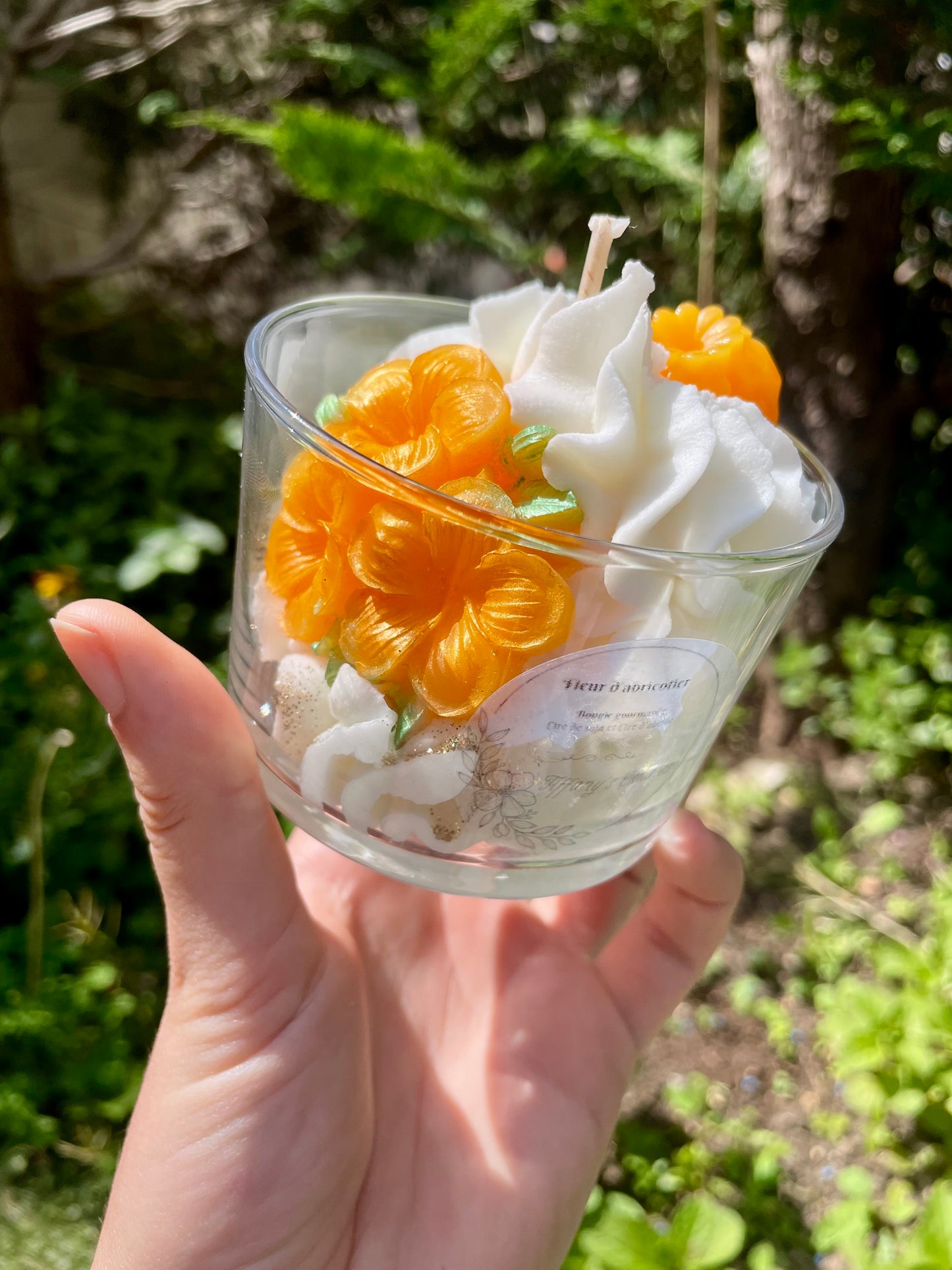 Bougie gourmande Fleur d’abricotier 🧡