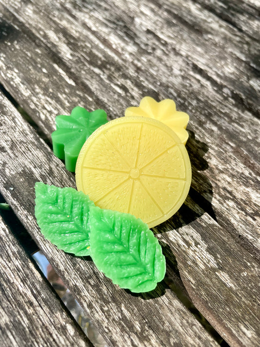 Fondant de cire parfumé Anti Moustique 🍋‍🟩🦟