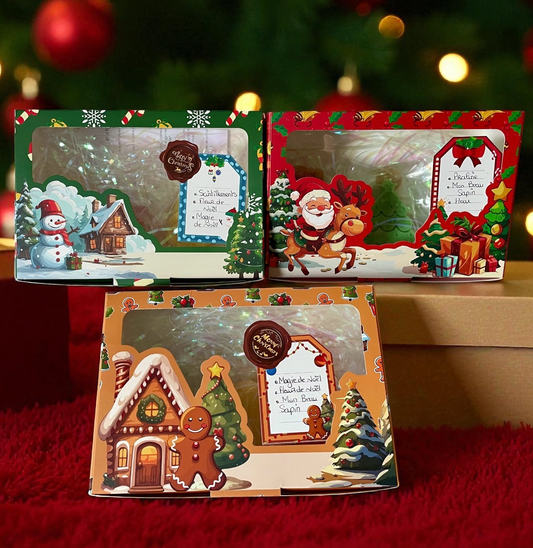 Coffret Gros Fondants Noël🎁