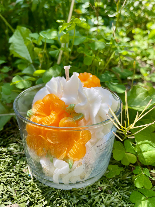 Bougie gourmande Fleur d’abricotier 🧡