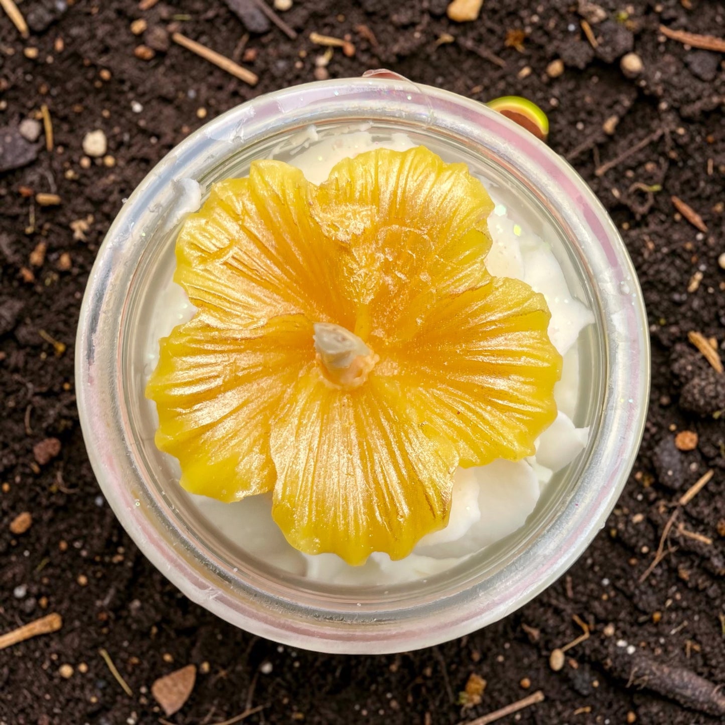 Mini Vanille Gourmande 💛
